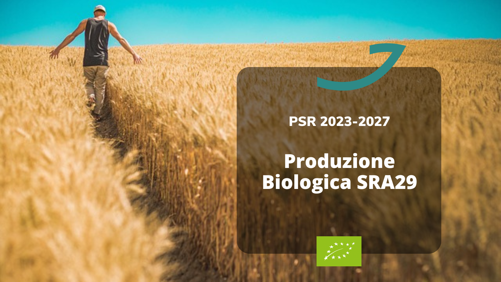 sra29 biologico produzione agricola
